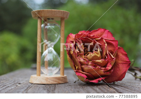 Dry Rose With Broken Hourglass outdoors on patio 77388895