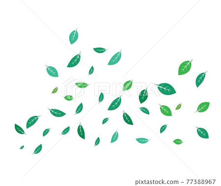 mint leaf illustration vector template 77388967