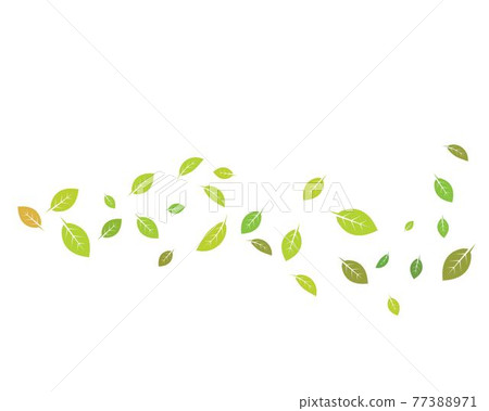 mint leaf illustration vector template 77388971