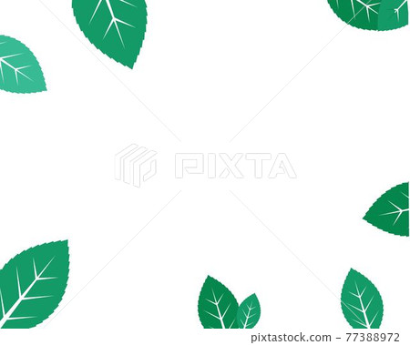 mint leaf illustration vector template 77388972