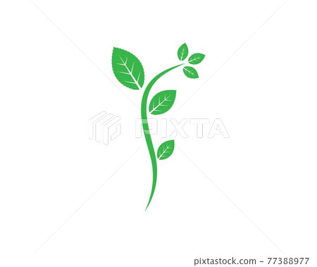 mint leaf illustration vector template 77388977