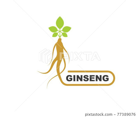 ginseng illustration icon vector design 77389076