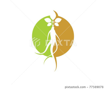 ginseng illustration icon vector design 77389078