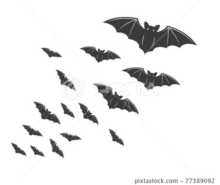 bat ilustration vector icon logo bat ilustration vector icon logo 77389092