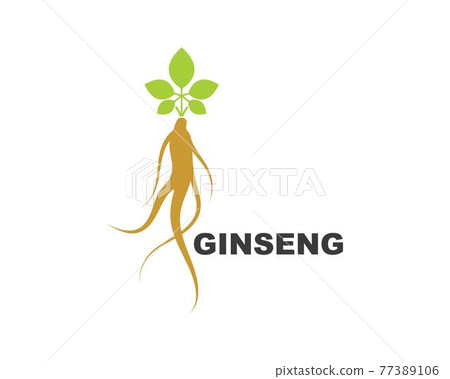 ginseng illustration icon vector design 77389106