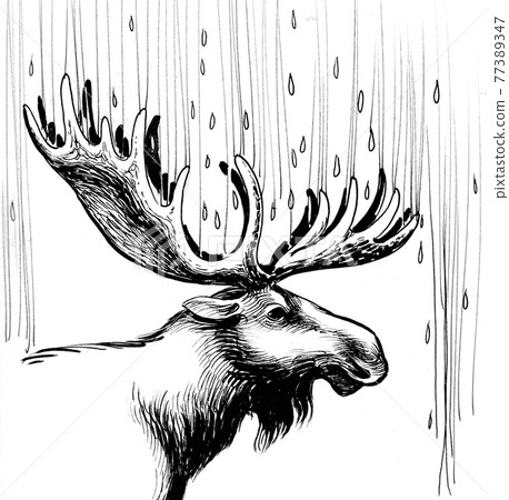 Moose with big horns standing in the rain. Ink black and white drawing Moose with big horns standing in the rain. Ink black and white drawing 77389347