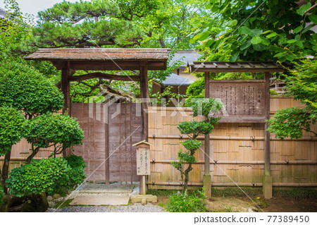 世界遺產平泉夏季關山中尊寺松卷 77389450