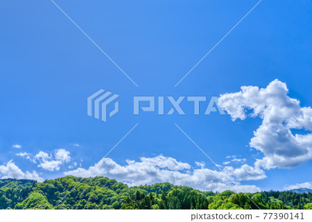 新鮮的綠色森林和空地宮瀨水壩湖神奈川縣 77390141