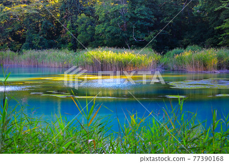 Bandai Asahi National Support: Goshikinuma Lakes in Urabandai (Ruri-numa) 77390168