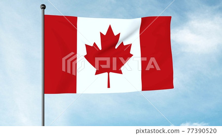 3D Illustration The National Flag of Canada 77390520