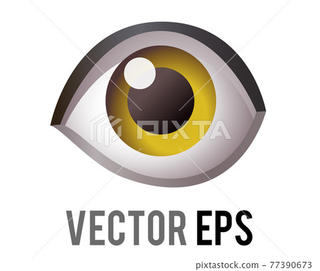 Vector single human eye, looking forward icon Vector single human eye, looking forward icon 77390673