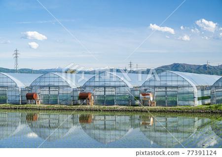 Lined vinyl houses 77391124