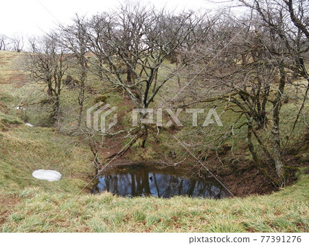 禦池山桌山 禦池山桌山 77391276