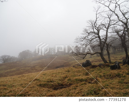 Fantastic scenery Fantastic scenery 77391278
