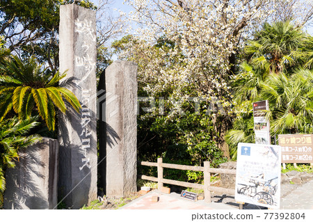 [靜岡縣]城崎海岸 77392804