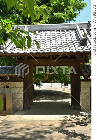 Walk in Saitama City: Shingon Buddhist Chiyama School Shofukuji Temple Walk in Saitama City: Shingon Buddhist Chiyama School Shofukuji Temple 77392872