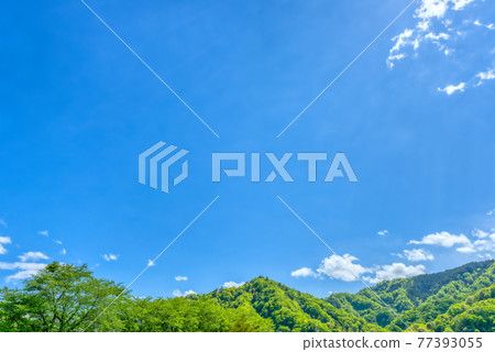 新鮮的綠色森林和空地宮瀨水壩湖神奈川縣 77393055