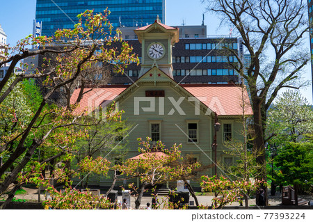 Sapporo clock tower Sapporo clock tower 77393224