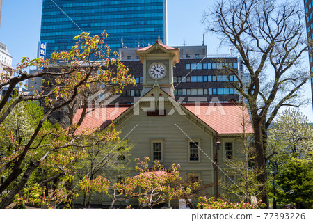 Sapporo clock tower Sapporo clock tower 77393226