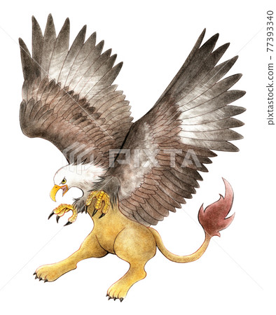 格里芬用銳利的眼睛張開翅膀 格里芬用銳利的眼睛張開翅膀 77393340