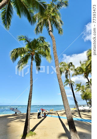 Holidays in Hawaii Holidays in Hawaii 77393473
