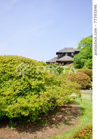 Kairakuen in early summer Kairakuen in early summer 77393846