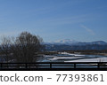從橋上眺望冬季的Sagae河和月山 77393861
