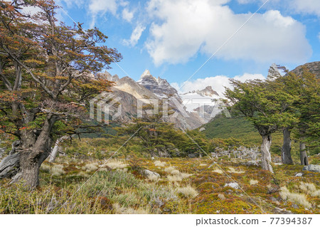 Fitzroy 在秋色中徒步旅行 Fitzroy 在秋色中徒步旅行 77394387