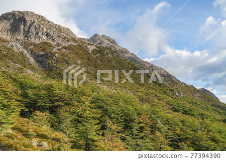 Fitzroy trekking in autumn colors Fitzroy trekking in autumn colors 77394390