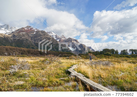 Trekking route from El Chalten to Fitz Roy 77394602
