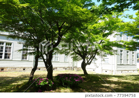 Former Yonezawa High School of Technology Main Building Yamagata University Faculty of Engineering Keyaki Namiki 77394758