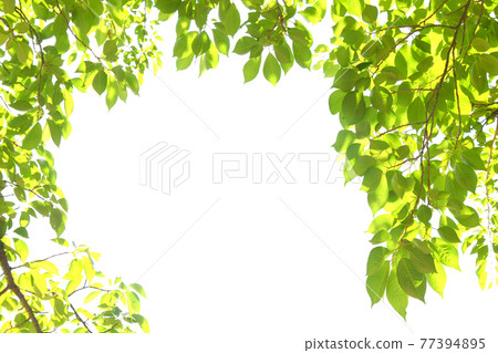 Fresh green eco image Fresh green eco image 77394895