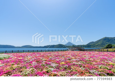 鹿兒島縣指宿市池田湖 鹿兒島縣指宿市池田湖 77394983