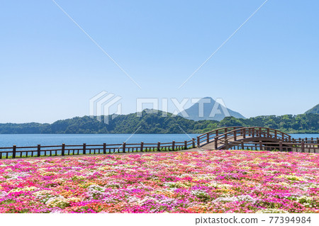 Lake Ikeda, Ibusuki City, Kagoshima Prefecture Lake Ikeda, Ibusuki City, Kagoshima Prefecture 77394984