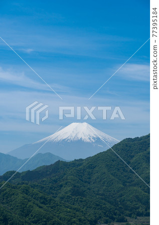 從岩土山（山梨縣大月市）的山路看富士山 77395184