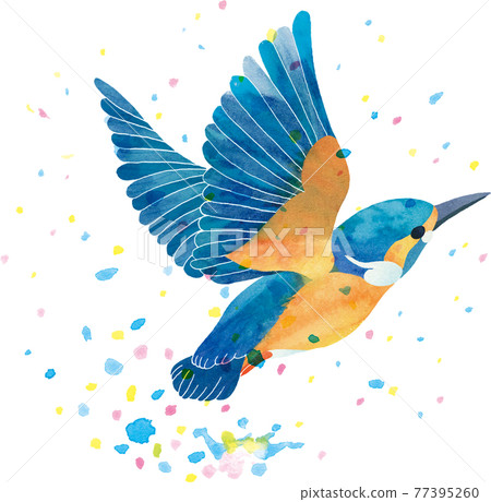 翠鳥起飛水濺 77395260