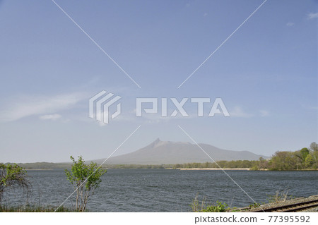 春天在北海道七飯町大沼拍攝黃沙大沼公園 77395592