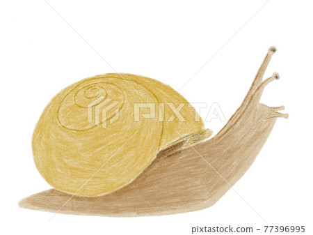 蝸牛 蝸牛 77396995