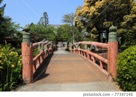Kobo Daishi, Kukai Kaisan Temple (Ikegamiyama Enkyoji Temple), 64 (Kitagata Town, Motosu District, Gifu Prefecture) 77397148