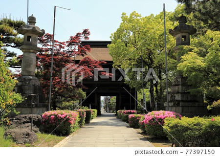 弘法大師，空海開山寺（池上山圓教寺），66（岐阜縣本棲區北形町） 77397150