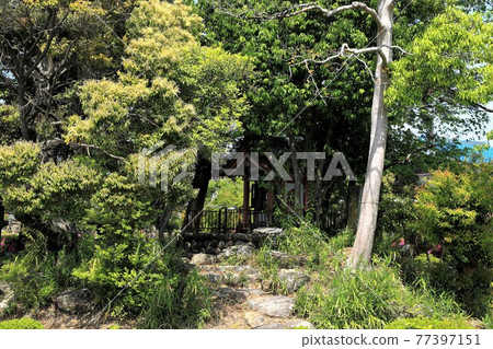 弘法大師,空海開山寺(池上山圓教寺),67(岐阜縣本棲區北形町) 弘法大師,空海開山寺(池上山圓教寺),67(岐阜縣本棲區北形町) 77397151