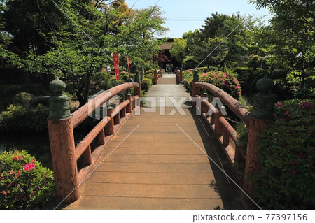 Kobo Daishi, Kukai Kaisan Temple (Ikegamiyama Enkyoji Temple), 72 (Kitagata Town, Motosu District, Gifu Prefecture) Kobo Daishi, Kukai Kaisan Temple (Ikegamiyama Enkyoji Temple), 72 (Kitagata Town, Motosu District, Gifu Prefecture) 77397156
