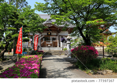 弘法大師，空海開山寺（池上山圓教寺），83（岐阜縣本棲區北形町） 77397167