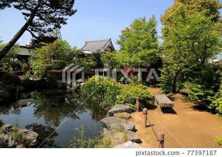 Kobo Daishi, Kukai Kaisan Temple (Ikegamiyama Enkyoji Temple), 101 (Kitagata Town, Motosu District, Gifu Prefecture) 77397187