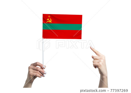 A beautiful female hand holds a Transnistria flag to which she shows the finger of her other hand, isolated on white background A beautiful female hand holds a Transnistria flag to which she shows the finger of her other hand, isolated on white background 77397269