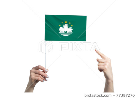 A beautiful female hand holds a Macau flag to which she shows the finger of her other hand, isolated on white background A beautiful female hand holds a Macau flag to which she shows the finger of her other hand, isolated on white background 77397270