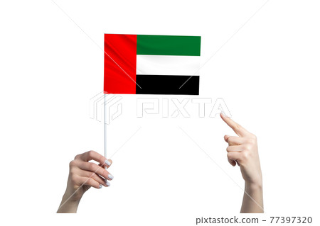 A beautiful female hand holds a United Arab Emirates flag to which she shows the finger of her other hand, isolated on white background 77397320