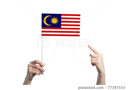 A beautiful female hand holds a Malaysia flag to which she shows the finger of her other hand, isolated on white background A beautiful female hand holds a Malaysia flag to which she shows the finger of her other hand, isolated on white background 77397333
