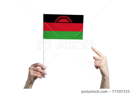 A beautiful female hand holds a Malawi flag to which she shows the finger of her other hand, isolated on white background A beautiful female hand holds a Malawi flag to which she shows the finger of her other hand, isolated on white background 77397335