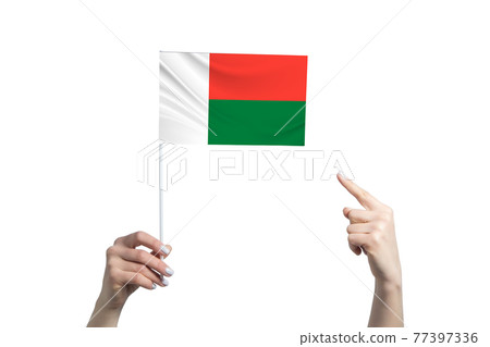 A beautiful female hand holds a Madagascar flag to which she shows the finger of her other hand, isolated on white background A beautiful female hand holds a Madagascar flag to which she shows the finger of her other hand, isolated on white background 77397336